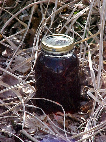 Jar of Natural home made maple syrup History of Maple Sugar and Maple Syrup