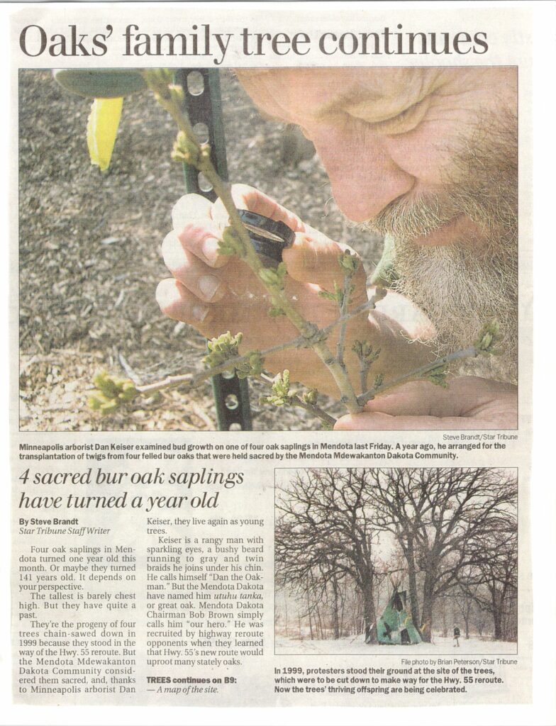 Sacred Trees Saplings proof of 19th century Heritage May 1, 2003_0001