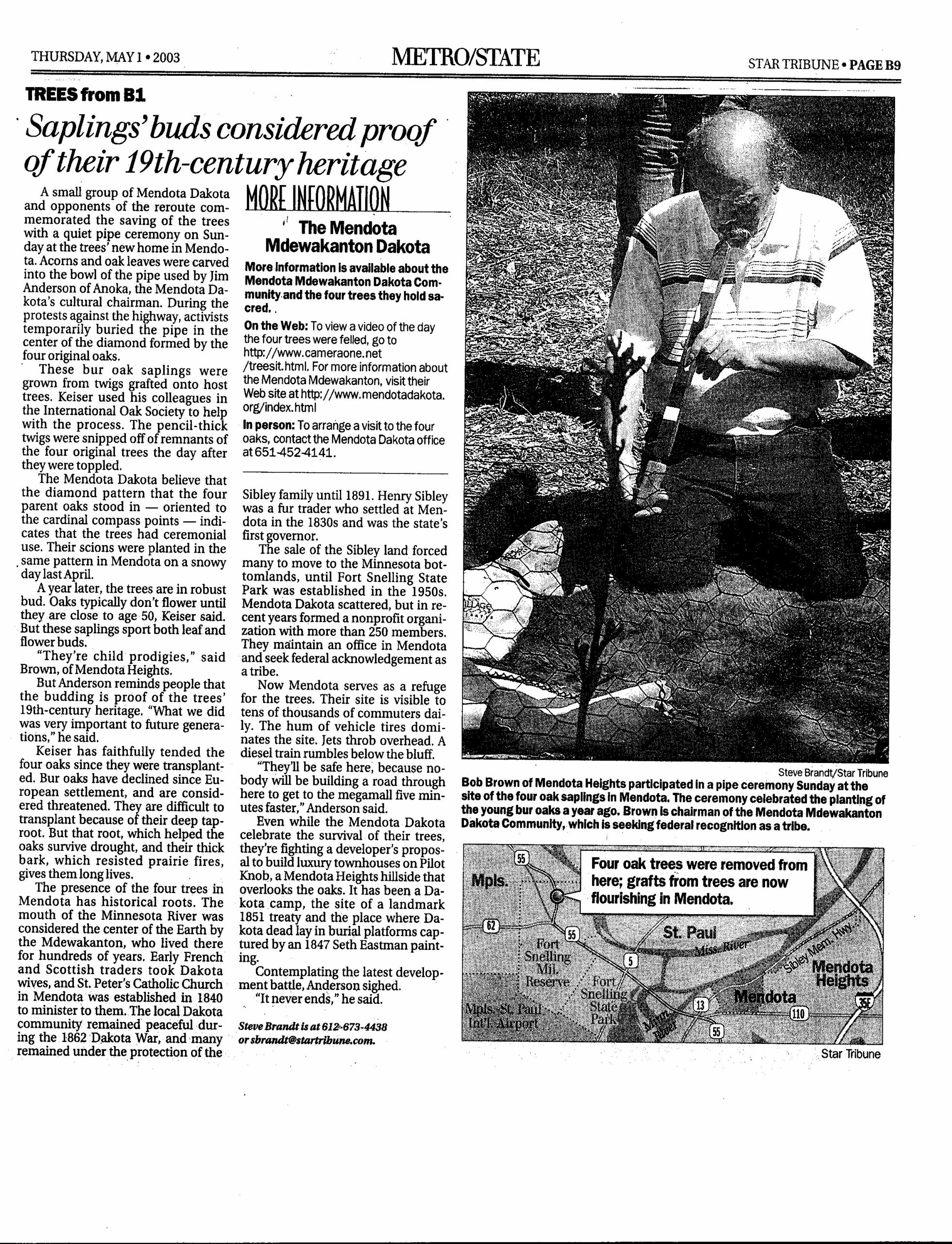 Sacred Trees Saplings proof of 19th century Heritage May 1, 2003_0002